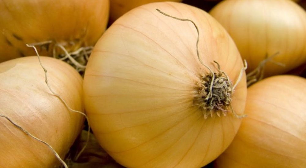 How Long Does An Onion Last In The Fridge? Find Out Now